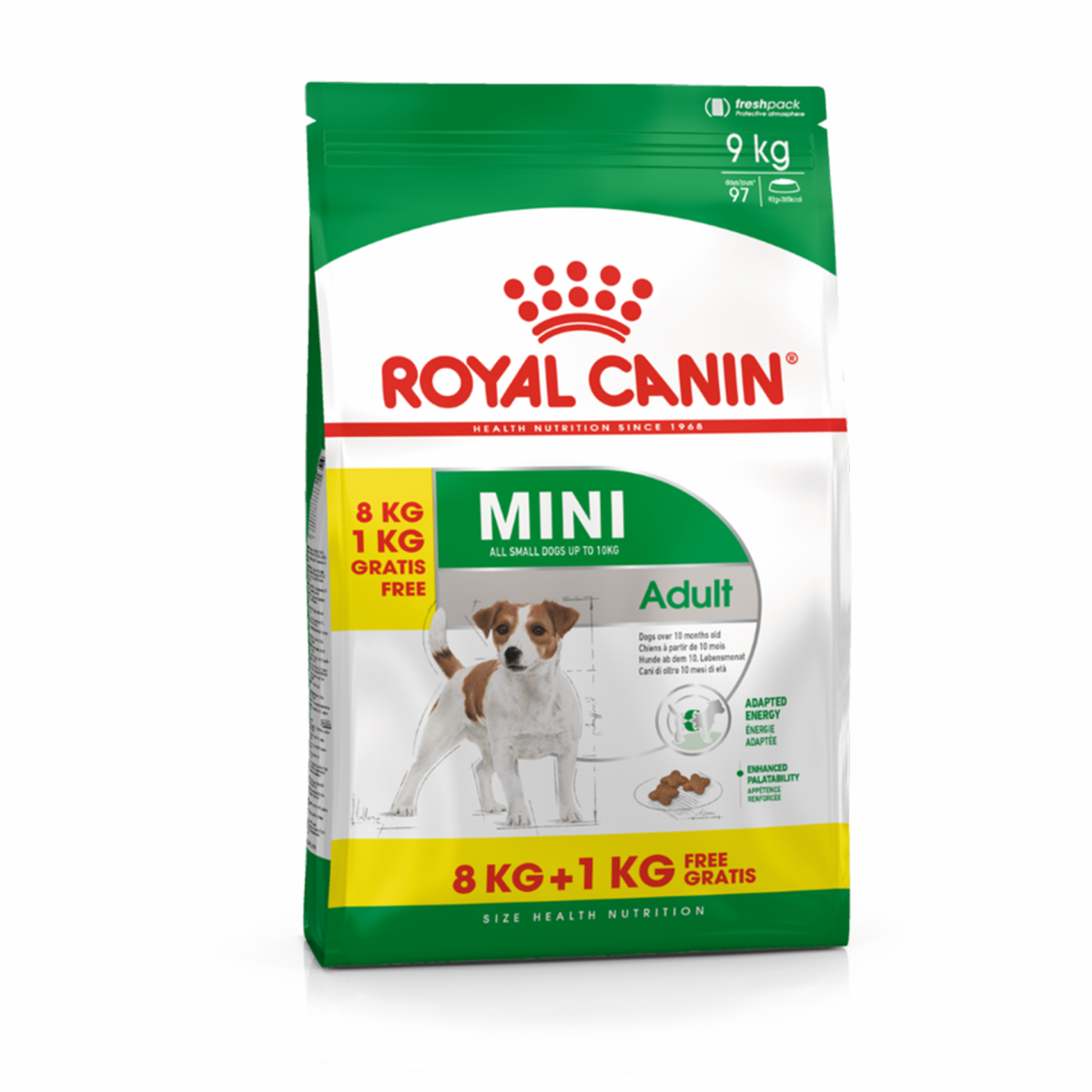 Ração Royal Canin X-Small Adulto 8+ para Cães Adultos e Idosos de